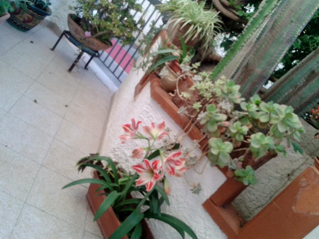B&B Il Girasole Noto Exterior foto